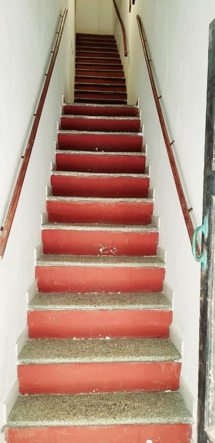 Ferret Apartment Alghero Kültér fotó